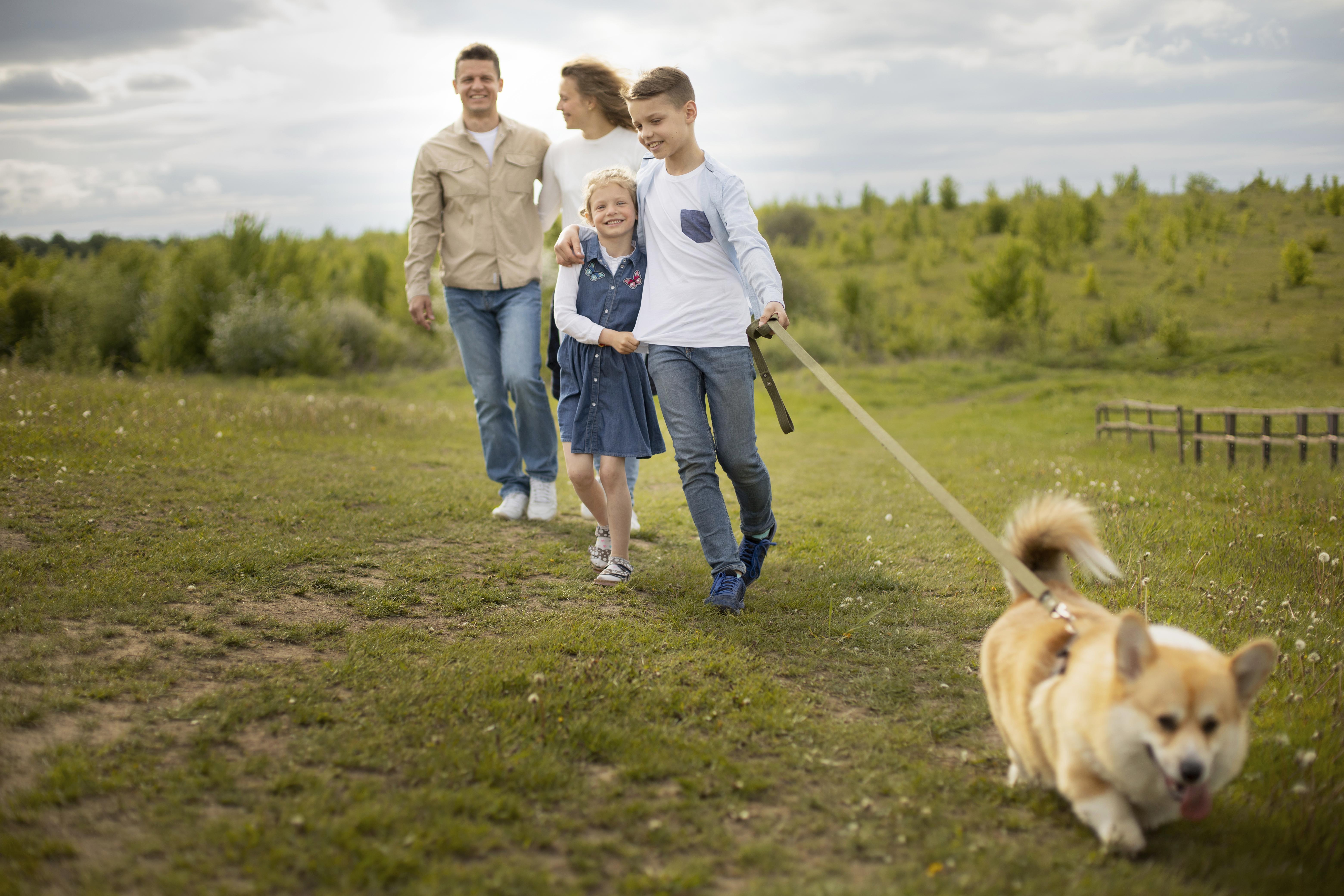 Dorset family out walking dog after dog training practice.